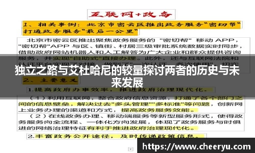 独立之路与艾杜哈尼的较量探讨两者的历史与未来发展